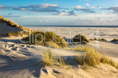 Landschaft mit Dünen auf der Insel Amrum