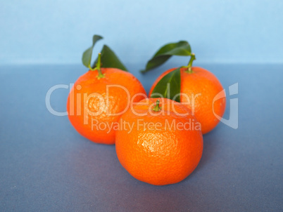 tangerine fruit food tangerine fruit food