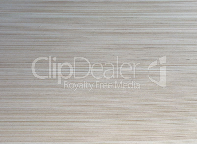 white paper texture background