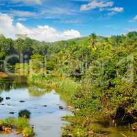 Tropical forest on the banks of the river and the blue cloudy sk