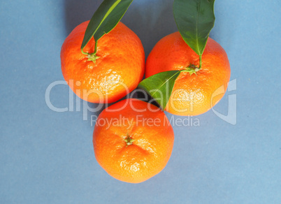 tangerine fruit food