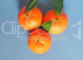 tangerine fruit food