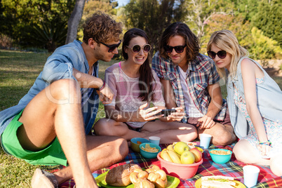 Friends having picnic in park