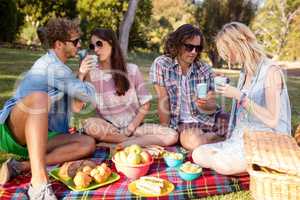 Friends having picnic in park
