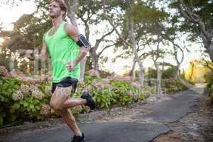 Jogger jogging on pathway in park