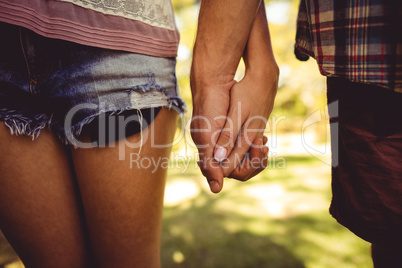 Couple holding hands in park