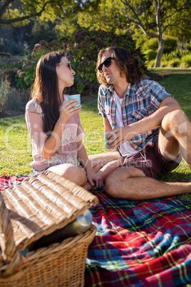 Romantic couple having picnic in the park