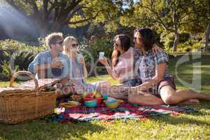 Happy friends having picnic in the park