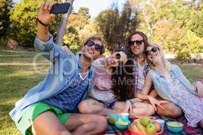 Friends clicking selfie while having picnic