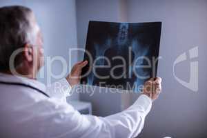 Male doctor examining x-ray report