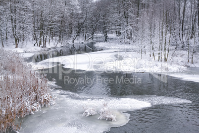 Small river in the winter