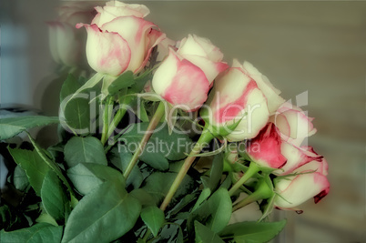 Bouquet of beautiful roses against the window.