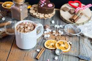 cup of hot chocolate with marshmallows