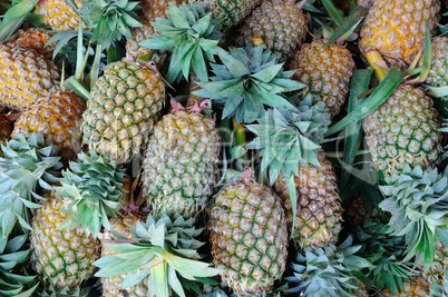 bright background of fresh juicy pineapples