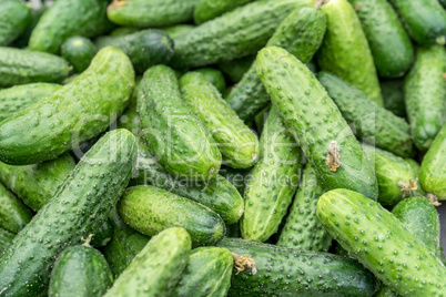 cucumbers