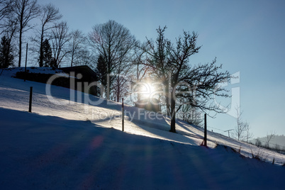 Schneelandschaft