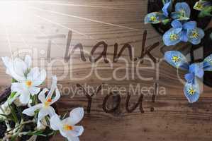 Sunny Crocus And Hyacinth, Text Thank You