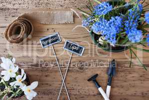 Flowers, Signs, Text Gardening Tips