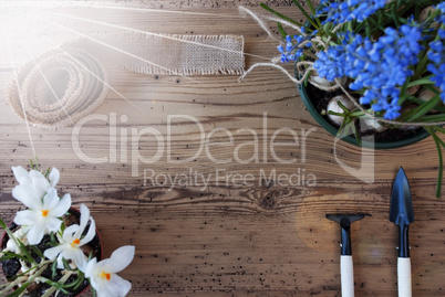 Sunny Spring Flowers, Copy Space For Advertisement