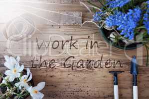 Sunny Spring Flowers, Text Work In The Garden
