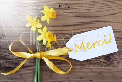 Sunny Spring Narcissus, Label, Merci Means Thank You