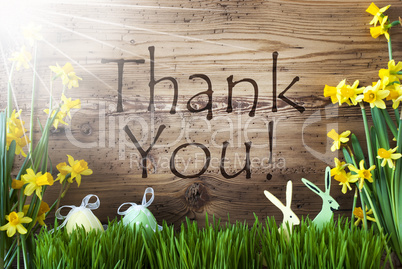 Sunny Easter Decoration, Gras, Text Thank You