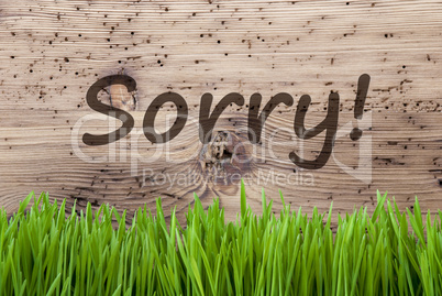 Bright Wooden Background, Gras, Text Sorry