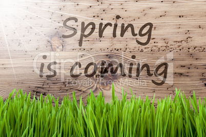 Bright Sunny Wooden Background, Gras, Text Spring Is Coming