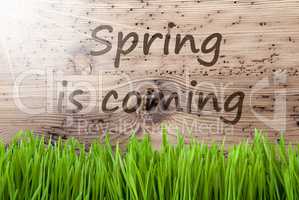 Bright Sunny Wooden Background, Gras, Text Spring Is Coming
