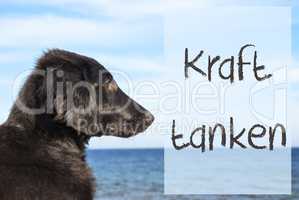 Dog At Ocean, Kraft Tanken Means Relax