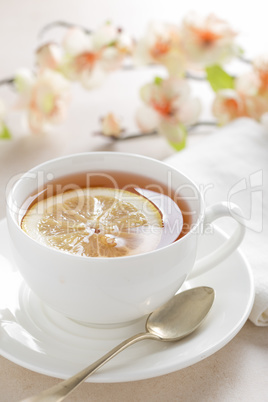 Cup of lemon tea on white background