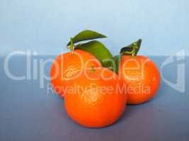 tangerine fruit food