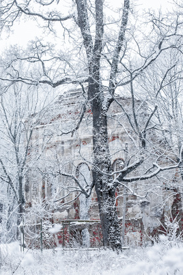 Ruins of the old church in a winter day