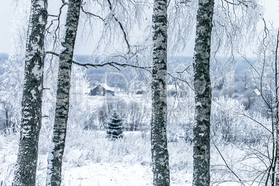 Old cemetery at abandoned  village