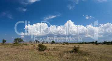 Beautiful steppe landscape