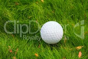 Golf ball close-up