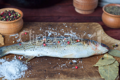 Fresh smelt fish in spices for cooking