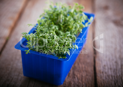 Fresh edible healthy watercress in the box .