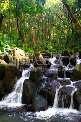 Wasserfall auf Kauai