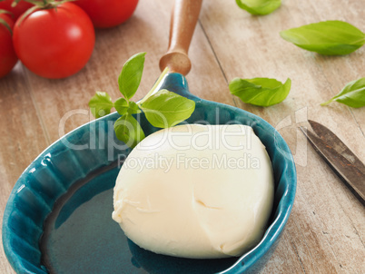 Organic mozzarella with basil