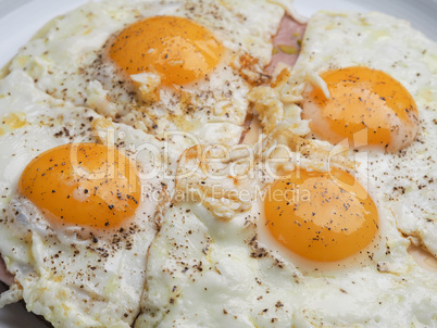Four fried eggs