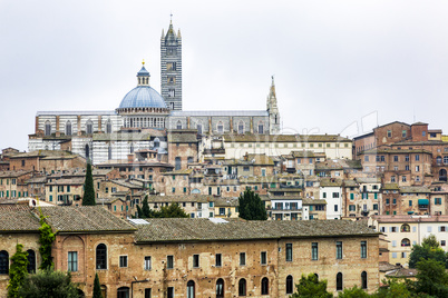 Cityscape with Duomo of Siena in Tuscany