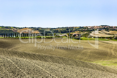 Landscape in Tuscany