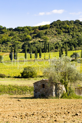 Varied landscape of Tuscany