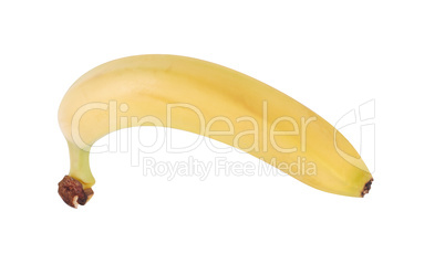 raw Yellow Banana Isolated