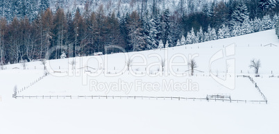 sauerland in winter