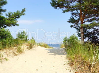 Der Weg zum Strand am Meer