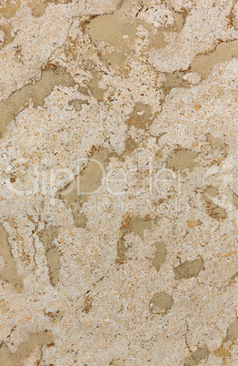 spotted stone texture