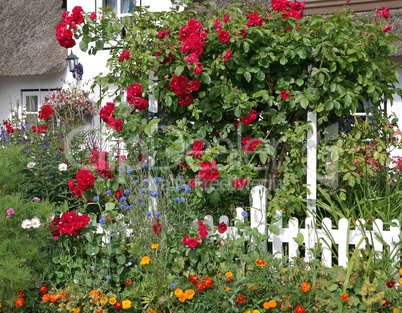 Landhaus mit Rosen im Garten