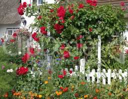 Landhaus mit Rosen im Garten